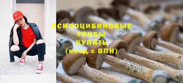 первитин Пестово