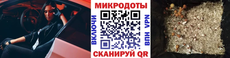 Галлюциногенные грибы мицелий  Нижняя Тура 